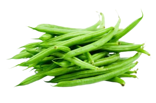 FRENCH BEANS -(approx450g - 500g)