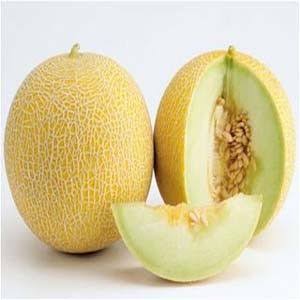 KABULI MELON- APPORX( 4KG-4.5KG)
