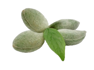 BADAM GIRI GREEN 1 PKT