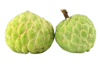 SHARIFA  GOLDEN (HYBRID ( APPROX- 500G- 600G)