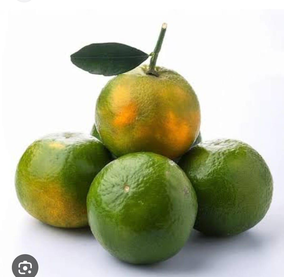 ORANGE (APPROX 450G-500G)