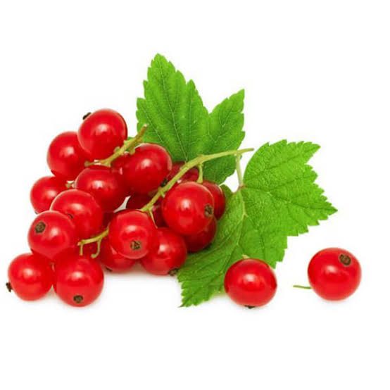 RED CURRANT PKT