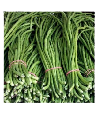 LOBHIYA MOTA -250GM