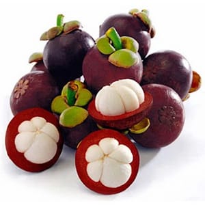 Mango Steen 400g to 500g