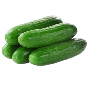 CUCUMBER HILTON -(450g - 600g)