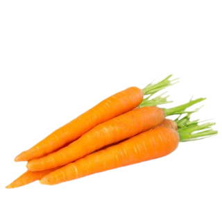 ENGLISH CARROT - (approx.450g - 500g)
