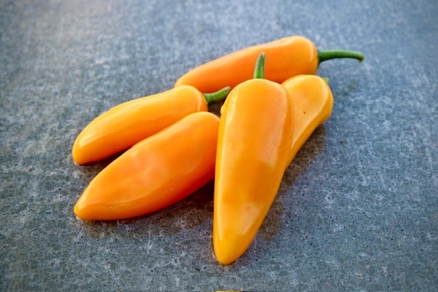 jalapeno  ( approx - 200gm - 250gm)