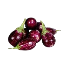 BRINJAL CHU-CHU - (Approx 450g-500g)