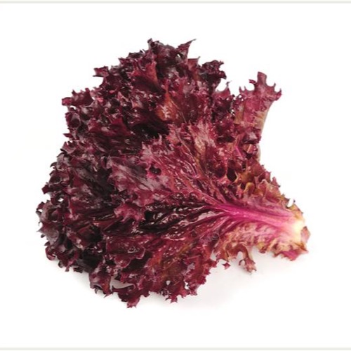 RED LETTUCE (Salad) - (180g-200g)