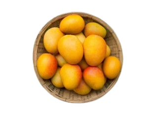 MANGO DENGA GOLDEN ( APPROX - 950GM - 1 KG )