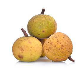 BEL  (APPROX.800G-1KG)
