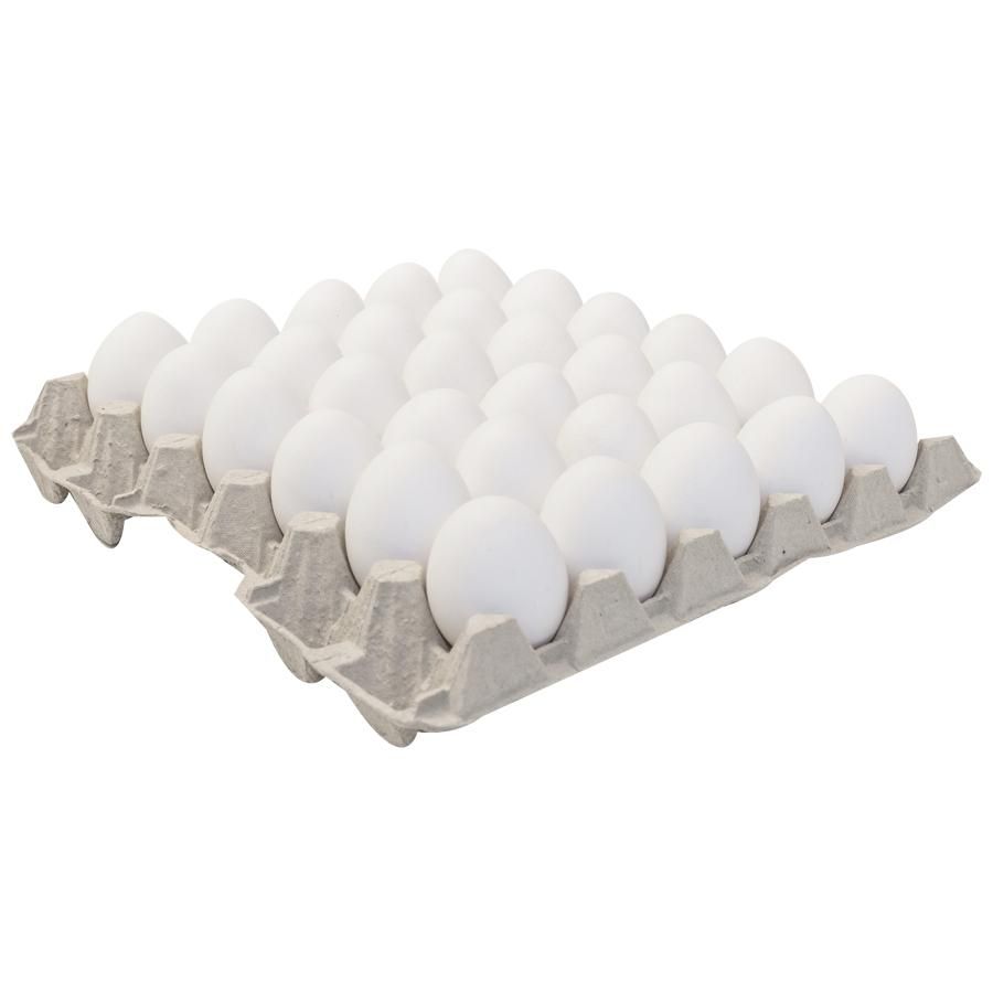LOOSE EGG TRAY