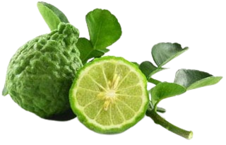 KAFFIR LIME- ( 300GM-350GM )