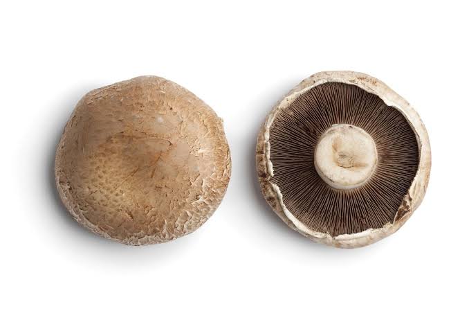PORTOBELLO MUSHROOM 1 PKT