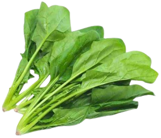 BABY PALAK- 500GM