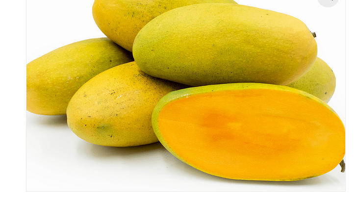 MANGO DUSHERI GOLDEN