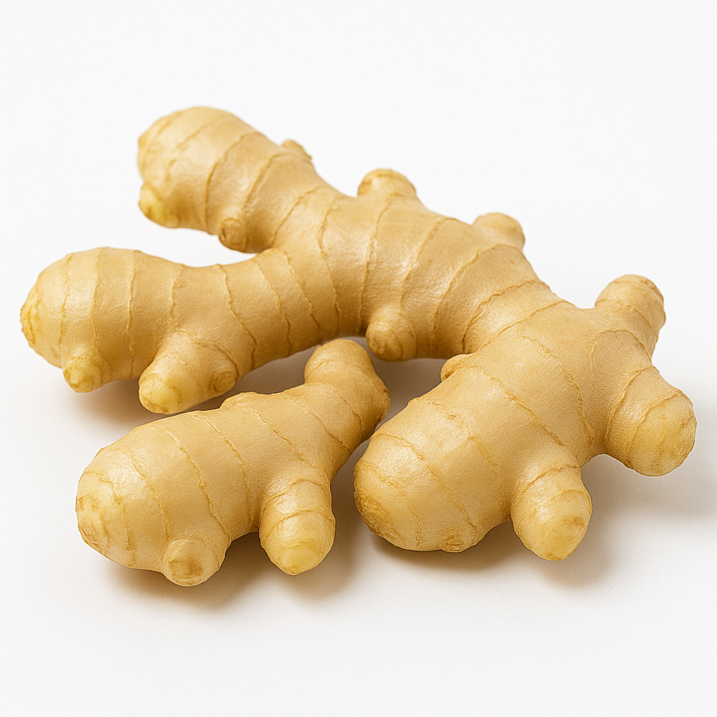 GINGER HYBRID   220-250-GM
