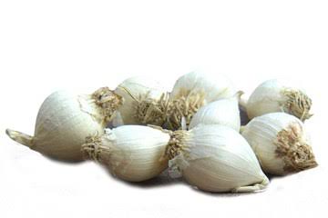GARLIC SINGLE -300GM