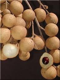 LONGAN LYCHEE - (450-500GM)