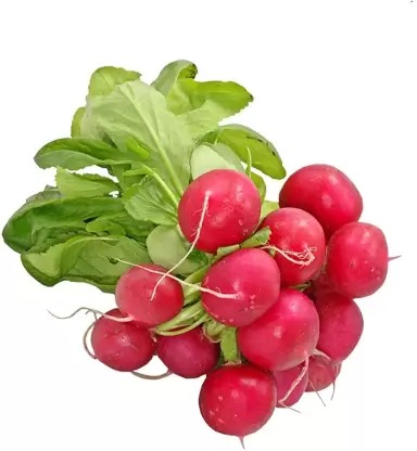 Red Radish Round 500GM