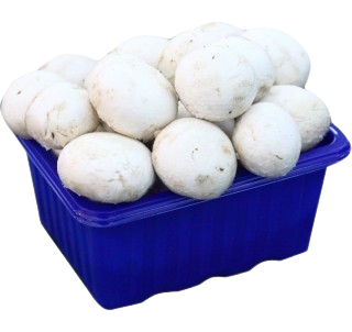 MUSHROOM PKT - 200g