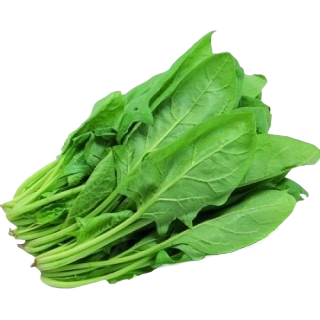 Spinach (Palak) -(900g to 1 kg)