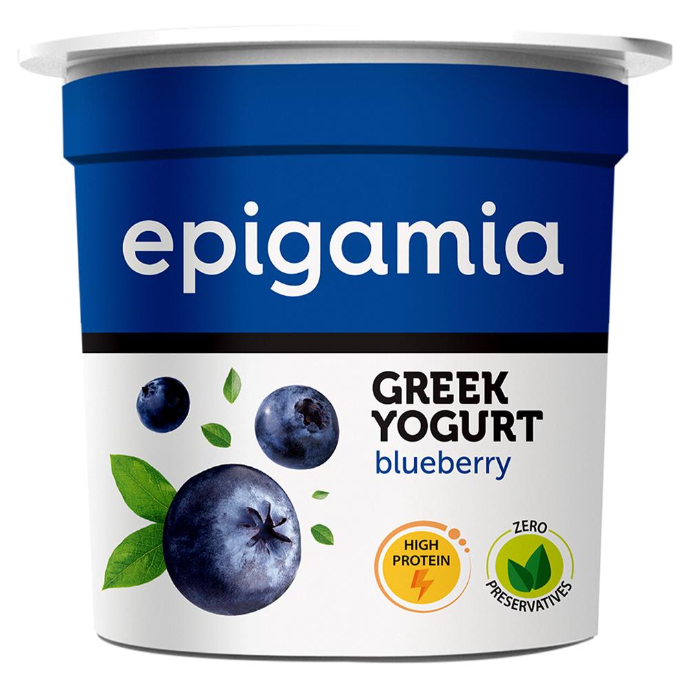 EPIGAMIA GREEK YOGHURT - BLUEBERRY 90GM