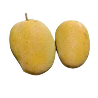 MANGO LANGRA - (450GM - 500G)