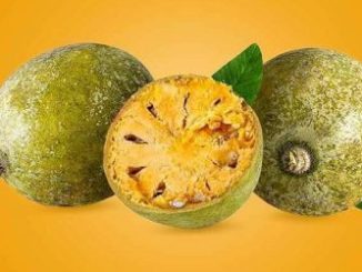 BEL PATHER(500g -600g)