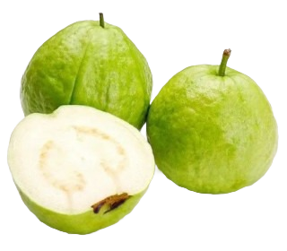 GUAVA MOTA - 550-600 GM