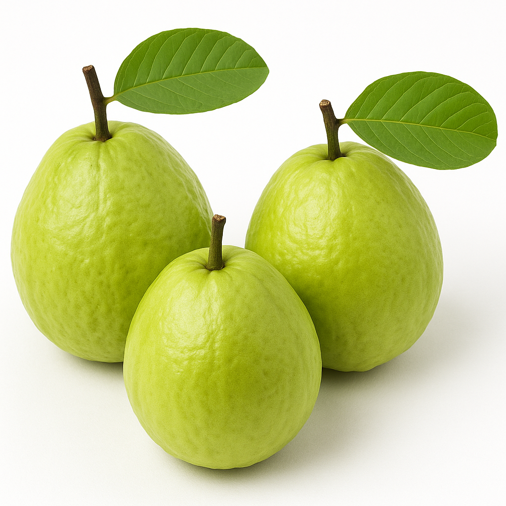 GUAVA RUDRAPUR  450-500GM