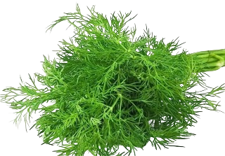 SOYA SAAG -150 - 200GM
