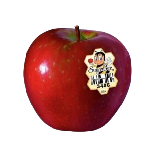 Apple Sugar Bee 450g to 500g