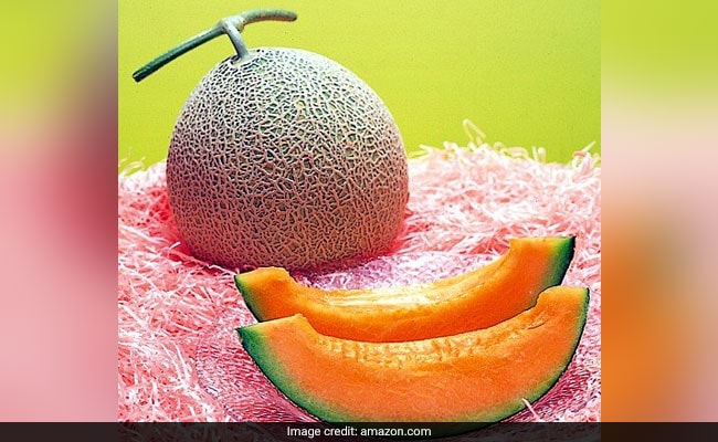 JAPAN MELON - (1.25-1.5 KG)