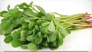KULFA  SAAG (550 - 650 GM)