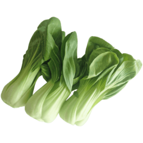 BARTON FRESH POK-CHOI BOX (100G)