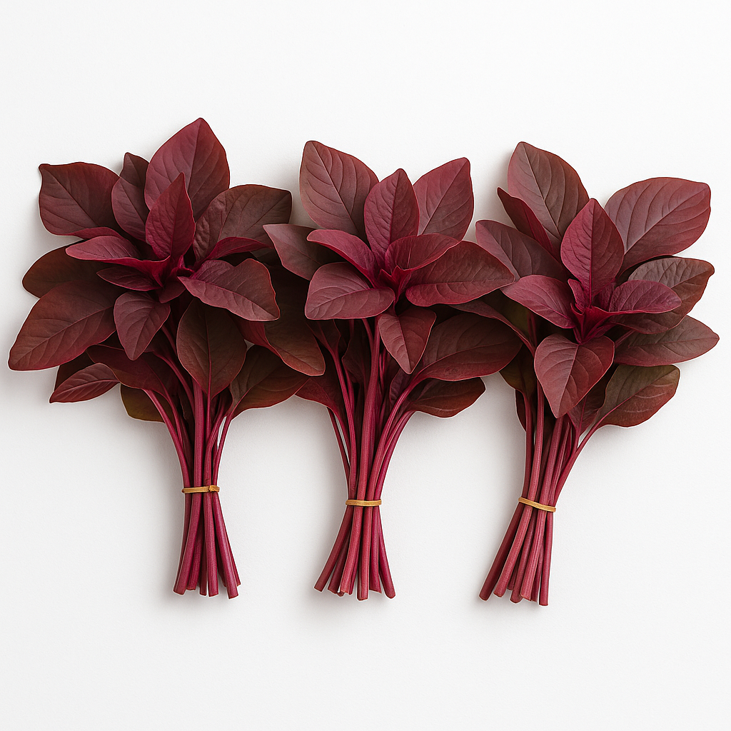 RED CHOLAI A GRADE   450-500GM