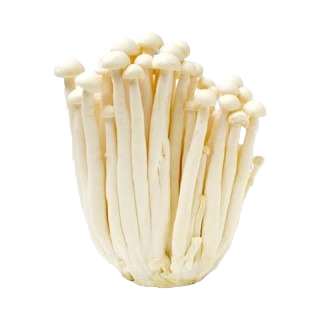 ENOKI MUSHROOM (1 pkt)