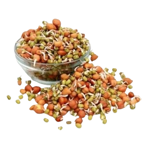 SPROUTS - PKT