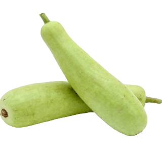 BOTTLE GOURD(LAUKI) - Approx.750g - 1kg