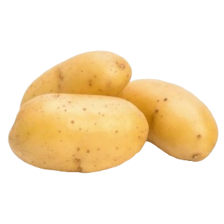POTATO SURYA   ( 800-1KG )