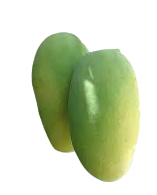 MANGO CHAUSA GOLDEN - 950GM - 1KG