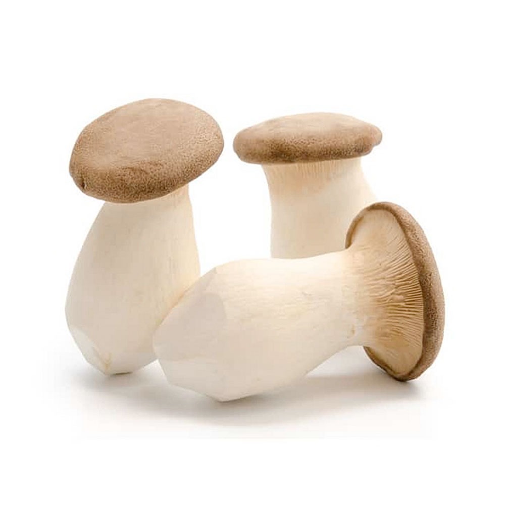 King Oyster Mushroom 450g to 500g