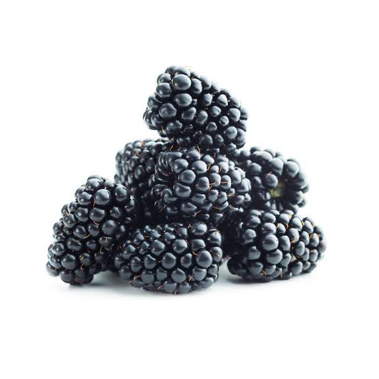 FRESH BLACK BERRY 1 PKT