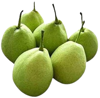 PEAR NAKH - ( 500G )