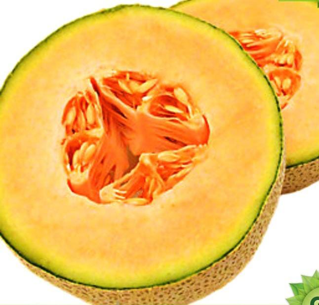 GOLDEN BOBY KHARBOOJA -1pc(950g -1.25kg)