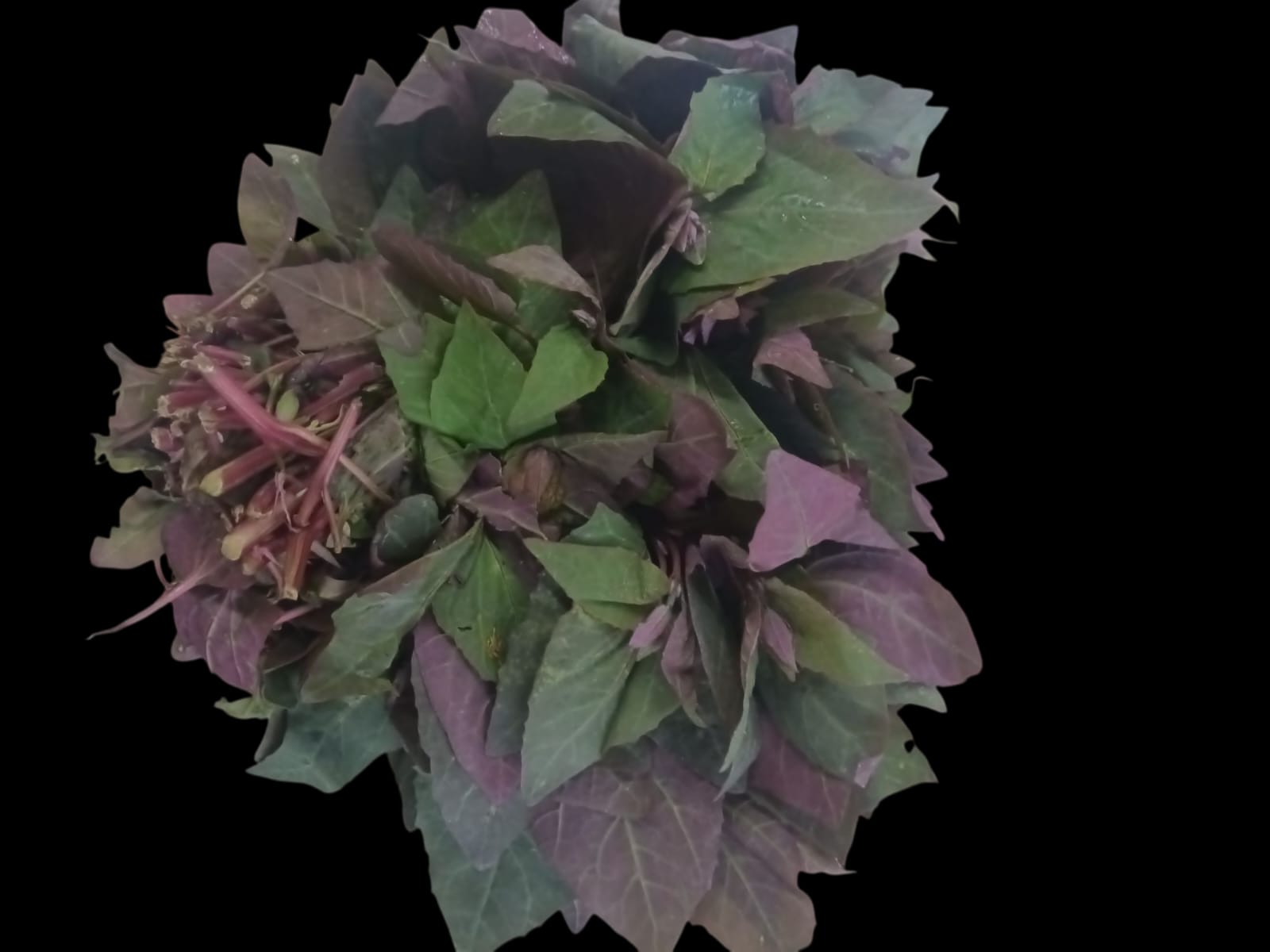 mushtak saag approx (450g-500g)