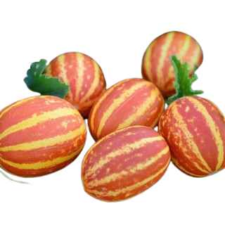 KACHRI  (approx - 450gm-500gm)