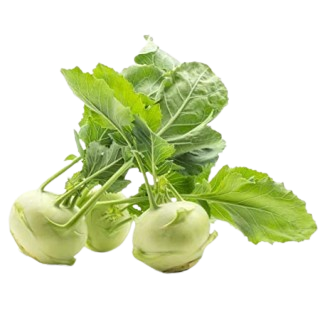 GANTH GOBHI -(approx.450g - 500g)