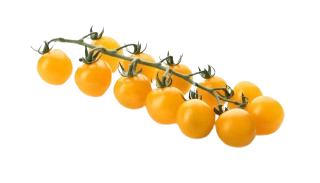 Yellow Cherry Tomato pkt.200g